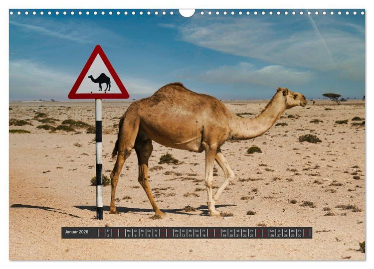 Produktbild: OMAN Offroad Travel Log (Wandkalender 2026 DIN A3 quer), CALVENDO Monatskalender