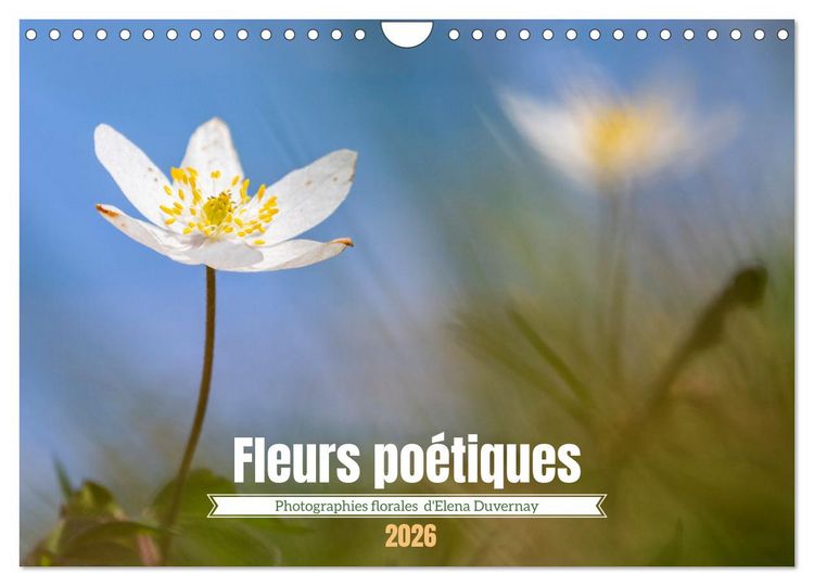 Produktbild: Fleurs po&eacute;tiques (Calendrier mural 2026 DIN A4 vertical), CALVENDO calendrier mensuel