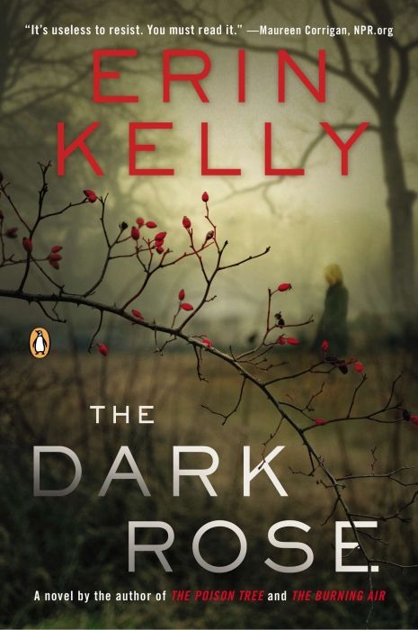 Produktbild: The Dark Rose
