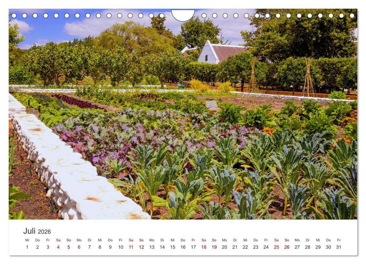 Produktbild: Frisches aus dem Gem&uuml;segarten (Wandkalender 2026 DIN A4 quer), CALVENDO Monatskalender