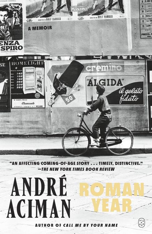 Produktbild: Roman Year