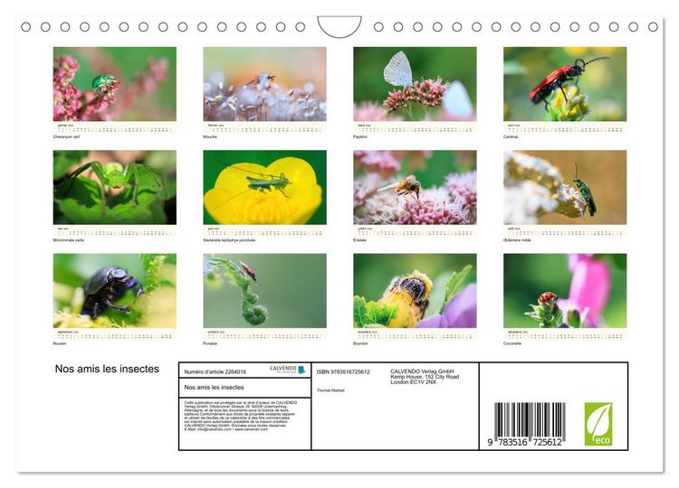Produktbild: Nos amis les insectes (Calendrier mural 2026 DIN A4 vertical), CALVENDO calendrier mensuel