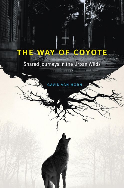 Produktbild: The Way of Coyote