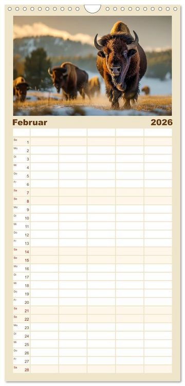 Produktbild: Familienplaner 2026 - B&uuml;ffel - Ikonen der Wildnis mit 5 Spalten (Wandkalender, 21 x 45 cm) CALVENDO