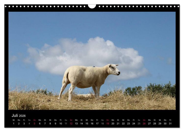 Produktbild: Texel, eine Perle Hollands (Wandkalender 2026 DIN A3 quer), CALVENDO Monatskalender
