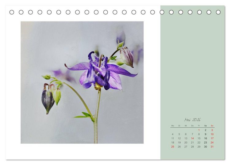 Produktbild: Bl&uuml;tentr&auml;ume (Tischkalender 2026 DIN A5 quer), CALVENDO Monatskalender