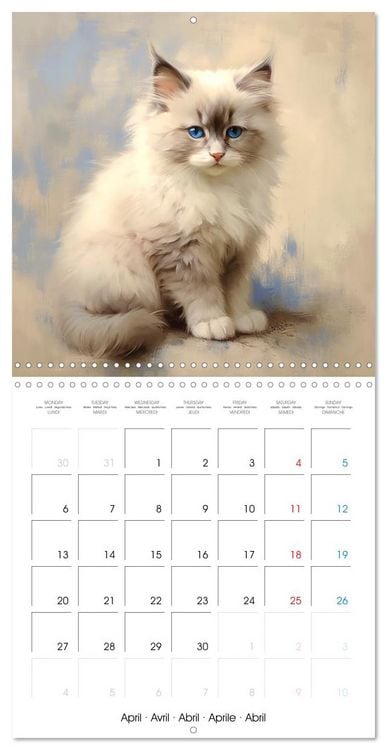 Produktbild: Illustrations Chatons (Calendrier mural carr&eacute; 2026 30x30 cm) Calendrier double avec une page pour vos prises de notes