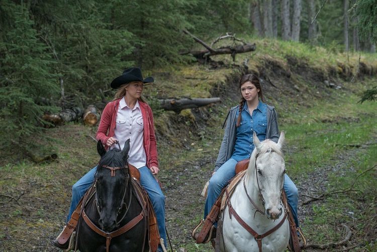 Produktbild: Heartland - Paradies f&uuml;r Pferde, Staffel 9 (Neuauflage) [6 DVDs]
