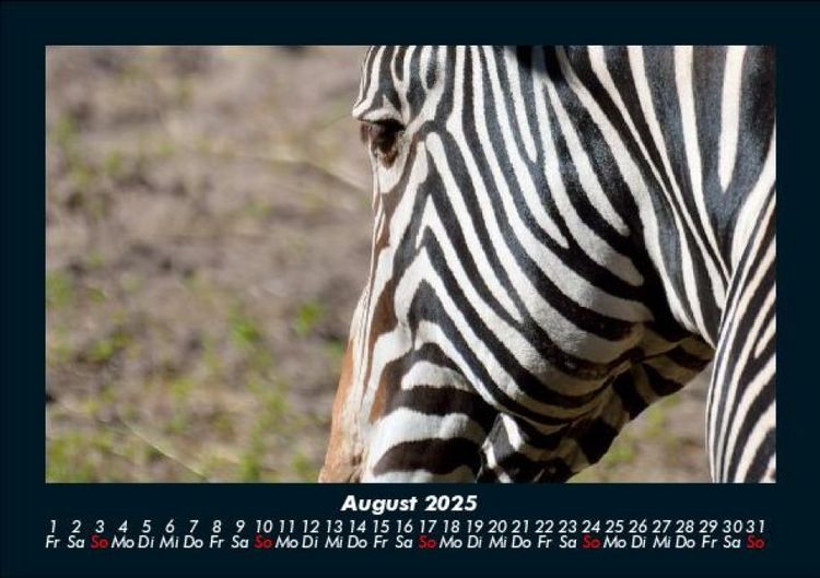 Produktbild: Zebrazauber 2025 Fotokalender DIN A5