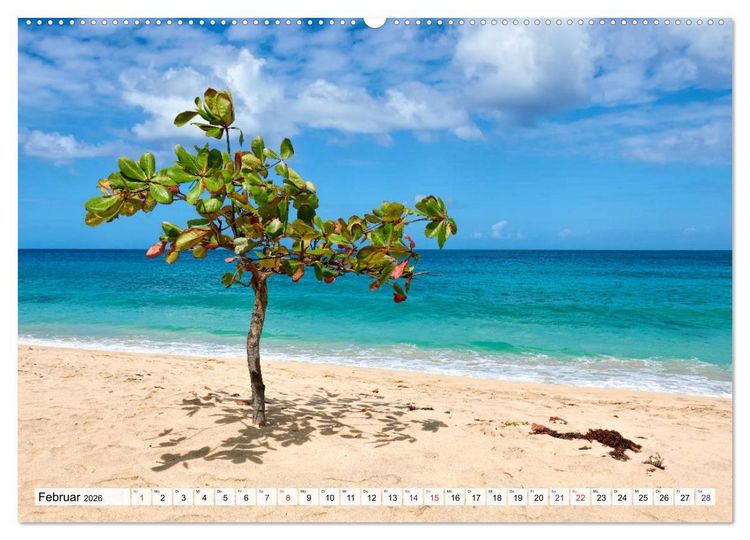 Produktbild: Inseln &uuml;ber dem Winde (Wandkalender 2026 DIN A2 quer), CALVENDO Monatskalender