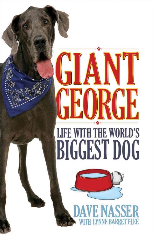 Produktbild: Giant George