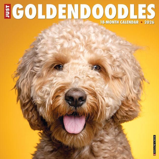 Produktbild: Goldendoodles 2026 Wall Calendar