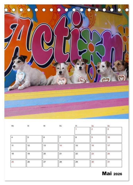 Produktbild: Tender Fellows - Parson Russell Terrier (Tischkalender 2026 DIN A5 hoch), CALVENDO Monatskalender