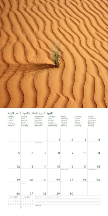 Produktbild: Wunderwerk Natur &ndash; Bizarre Strukturen - KUNTH Broschurkalender 2027