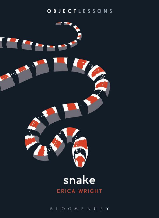 Produktbild: Snake