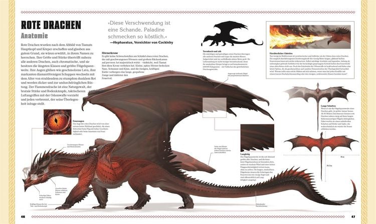 Produktbild: Dungeons & Dragons Das Buch der Drachen