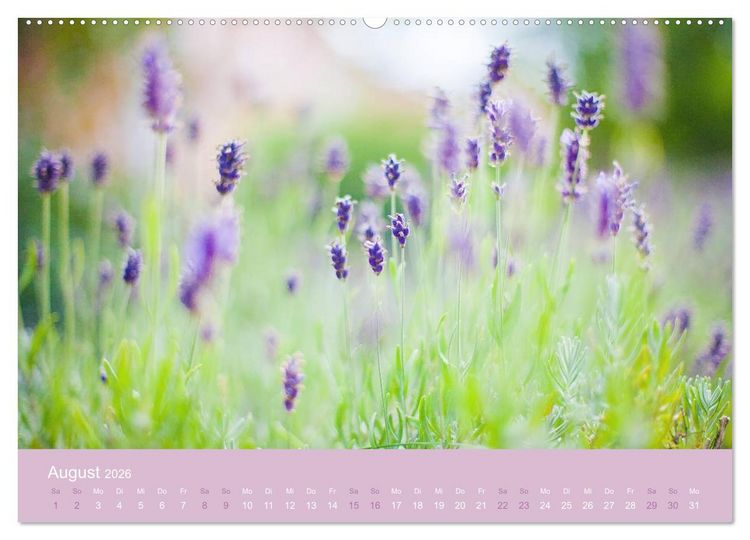 Produktbild: Zeitenwandel - Ein Jahr in der Natur (hochwertiger Premium Wandkalender 2026 DIN A2 quer), Kunstdruck in Hochglanz