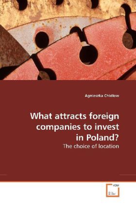 Produktbild: Chidlow, A: What attracts foreign companies to invest in Pol