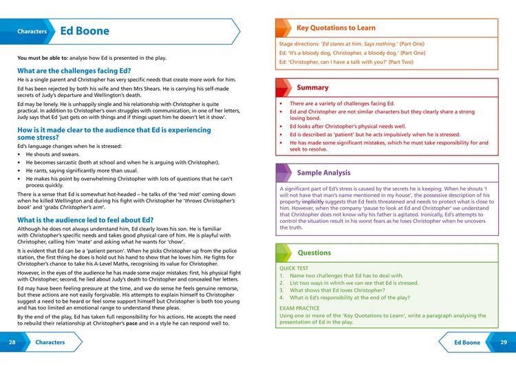 Produktbild: SNAP AQA GCSE CURIOUS GUIDE
