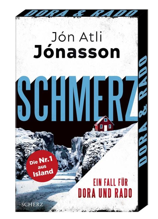 Produktbild: Schmerz
