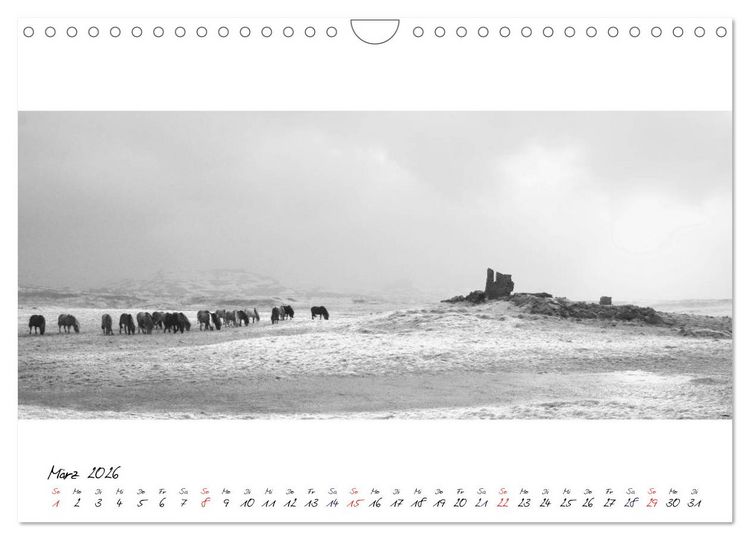 Produktbild: Islandpferde von Brimilsvellir (Wandkalender 2026 DIN A4 quer), CALVENDO Monatskalender