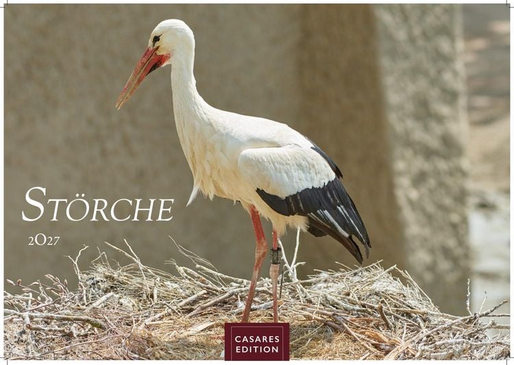 Produktbild: St&ouml;rche Kalender 2027 &ndash; Wandkalender | Fotokalender Tierkalender 35x50cm Grosses Format - Inspirierende Storch-Motive f&uuml;r Natur- und Tierkalenderliebhaber.