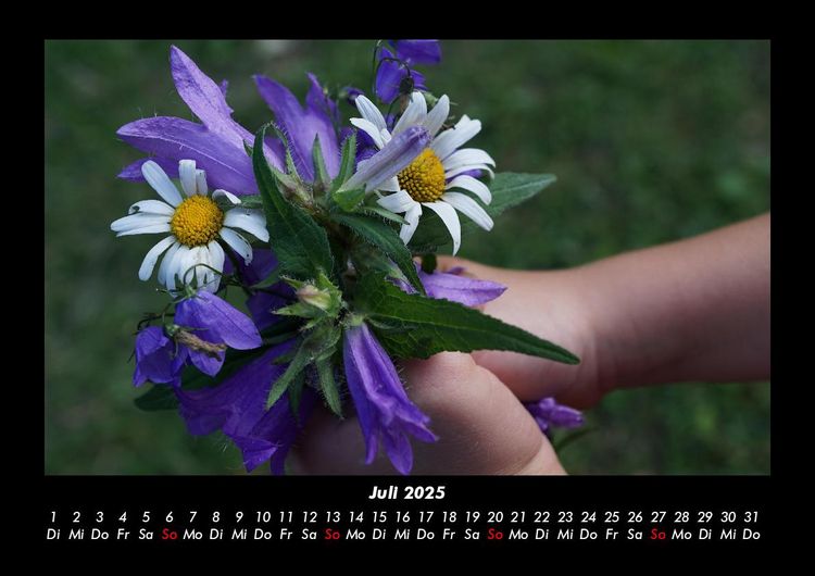 Produktbild: Blumentr&auml;ume 2025 Fotokalender DIN A3