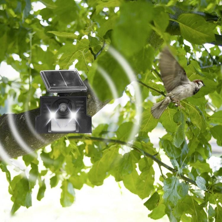 Produktbild: Gardigo Vogelvertreiber Funktionsart Solar, Ultraschall 1St.