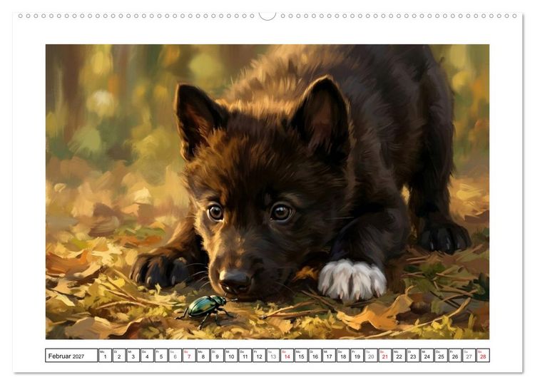 Produktbild: W&ouml;lfe - Die Alpha-Familie (hochwertiger Premium Wandkalender 2027 DIN A2 quer), Kunstdruck in Hochglanz