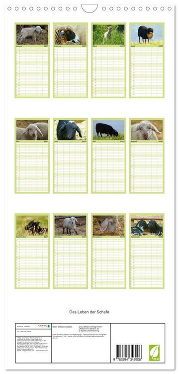 Produktbild: Familienplaner 2027 - Das Leben der Schafe mit 5 Spalten (Wandkalender, 21 x 45 cm) CALVENDO