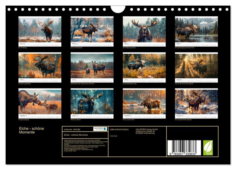 Produktbild: Elche - sch&ouml;ne Momente (Wandkalender 2026 DIN A4 quer), CALVENDO Monatskalender