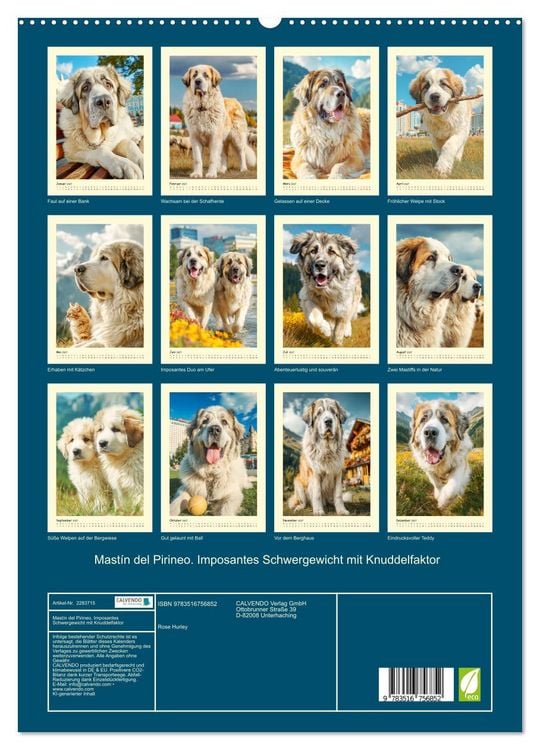 Produktbild: Mast&iacute;n del Pirineo. Imposantes Schwergewicht mit Knuddelfaktor (hochwertiger Premium Wandkalender 2027 DIN A2 hoch), Kunstdruck in Hochglanz
