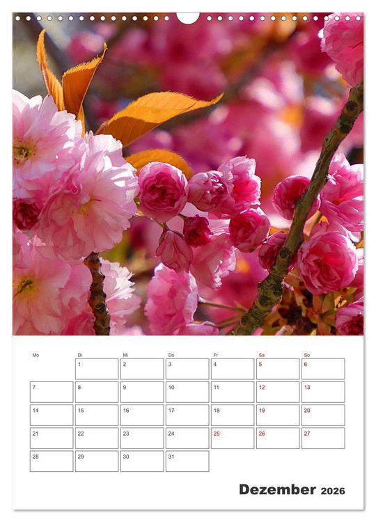 Produktbild: BL&Uuml;TENZAUBER (Wandkalender 2026 DIN A3 hoch), CALVENDO Monatskalender