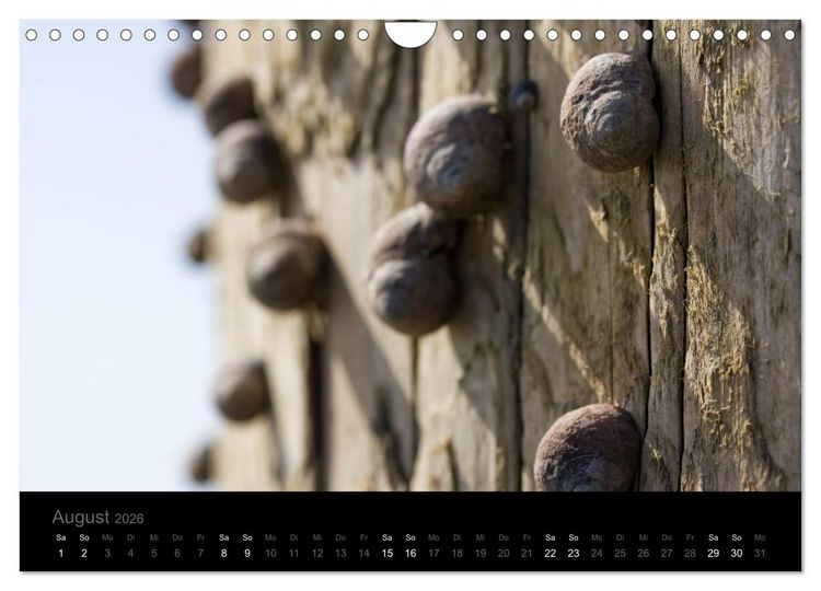 Produktbild: Natur im Detail (Wandkalender 2026 DIN A4 quer), CALVENDO Monatskalender