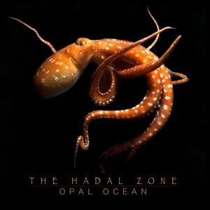 Produktbild: The Hadal Zone