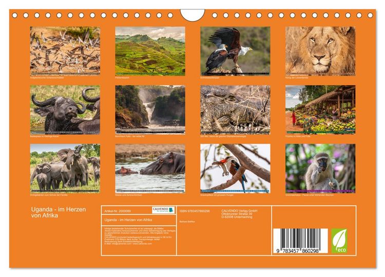 Produktbild: Uganda - im Herzen von Afrika (Wandkalender 2026 DIN A4 quer), CALVENDO Monatskalender
