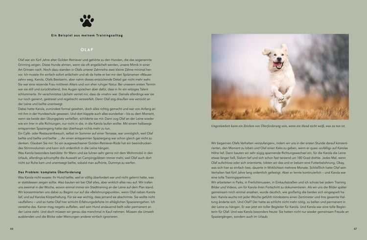 Mein Herz schlägt Hund