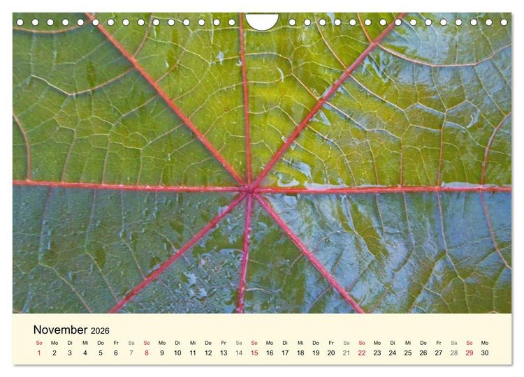 Produktbild: Kraftquelle Gr&uuml;n (Wandkalender 2026 DIN A4 quer), CALVENDO Monatskalender
