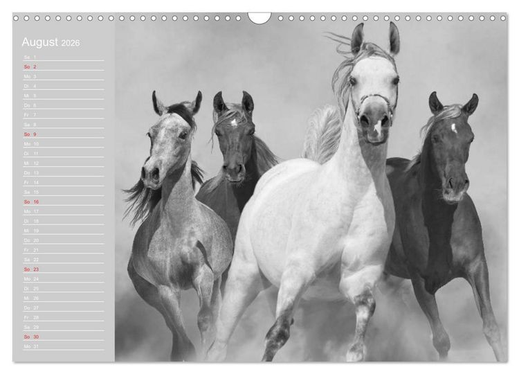 Produktbild: Arabische Pferde (Wandkalender 2026 DIN A3 quer), CALVENDO Monatskalender