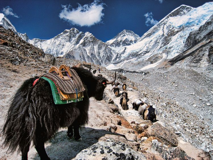 Produktbild: The Great Himalaya Trail