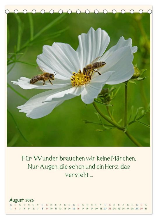 Produktbild: Mit Blumen durchs Jahr (Tischkalender 2026 DIN A5 hoch), CALVENDO Monatskalender