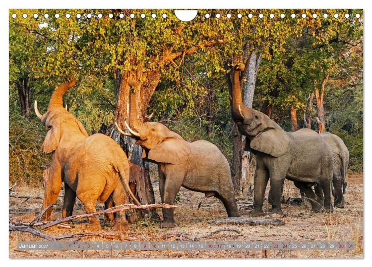 Produktbild: Unbekanntes Paradies Sambia (Wandkalender 2027 DIN A4 quer), CALVENDO Monatskalender