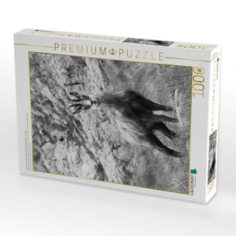 Produktbild: CALVENDO Puzzle Ein Motiv aus dem Kalender Wilde Bergwelt in Europa | 1000 Teile Lege-Gr&ouml;&szlig;e 64x48cm Foto-Puzzle f&uuml;r gl&uuml;ckliche Stunden