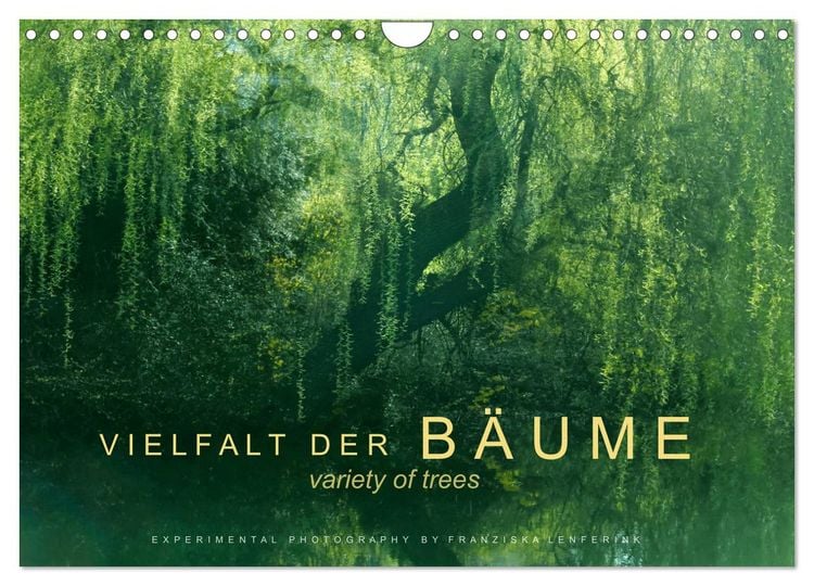 Produktbild: Vielfalt der B&auml;ume - variety of trees (Wandkalender 2026 DIN A4 quer), CALVENDO Monatskalender