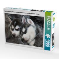Produktbild: CALVENDO Puzzle Sibirische Husky Welpen schlafen und tr&auml;umen von Abenteuern im Schnee 1000 Teile Lege-Gr&ouml;&szlig;e 64 x 48 cm Foto-Puzzle Bild von CALVENDO