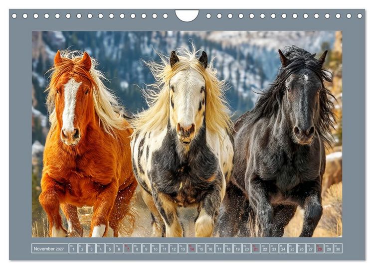Produktbild: Mustangs. Pferde in ihrer wildesten Sch&ouml;nheit (Wandkalender 2027 DIN A4 quer), CALVENDO Monatskalender