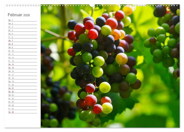 Produktbild: Wein (hochwertiger Premium Wandkalender 2026 DIN A2 quer), Kunstdruck in Hochglanz