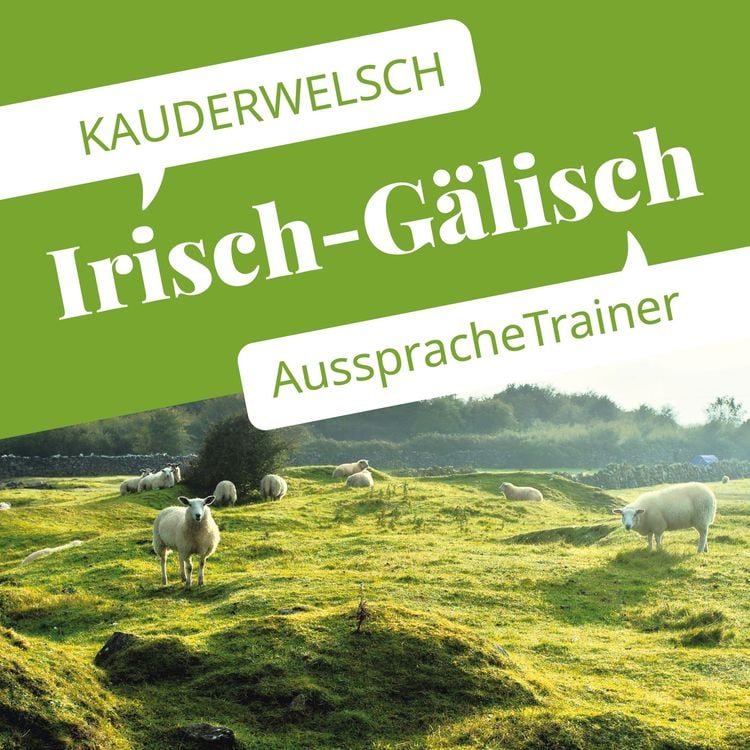 Produktbild: Reise Know-How Kauderwelsch AusspracheTrainer Irisch-Gälisch