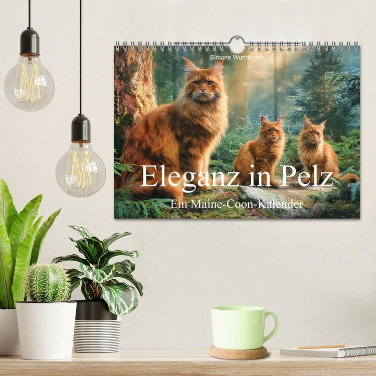 Produktbild: Eleganz in Pelz - ein Maine Coon - Kalender (Wandkalender 2027 DIN A4 quer), CALVENDO Monatskalender