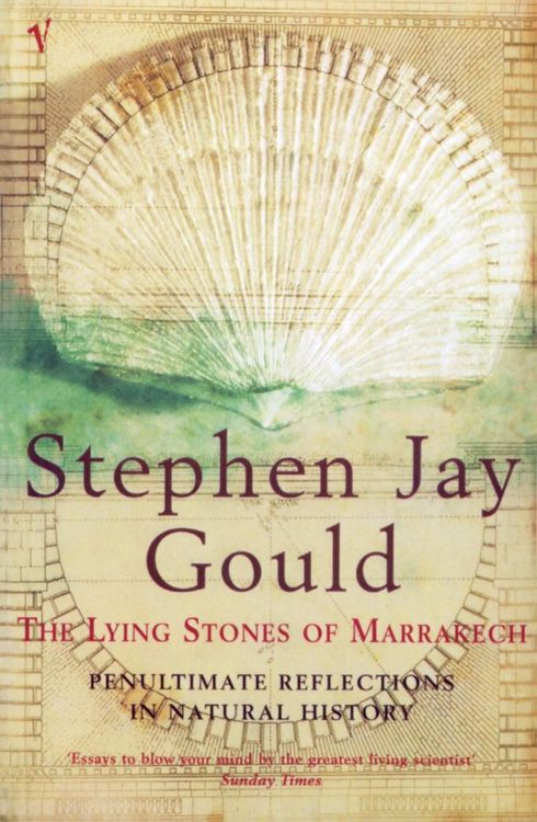 Produktbild: The Lying Stones of Marrakech